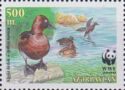 Ferruginous Duck (Aythya nyroca)